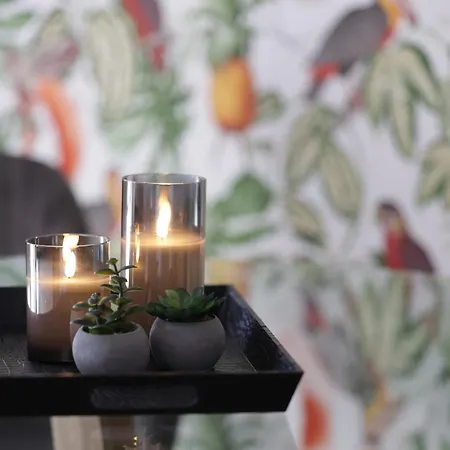 Savana Apartment
